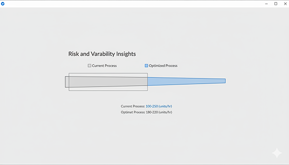 Risk and variability insights